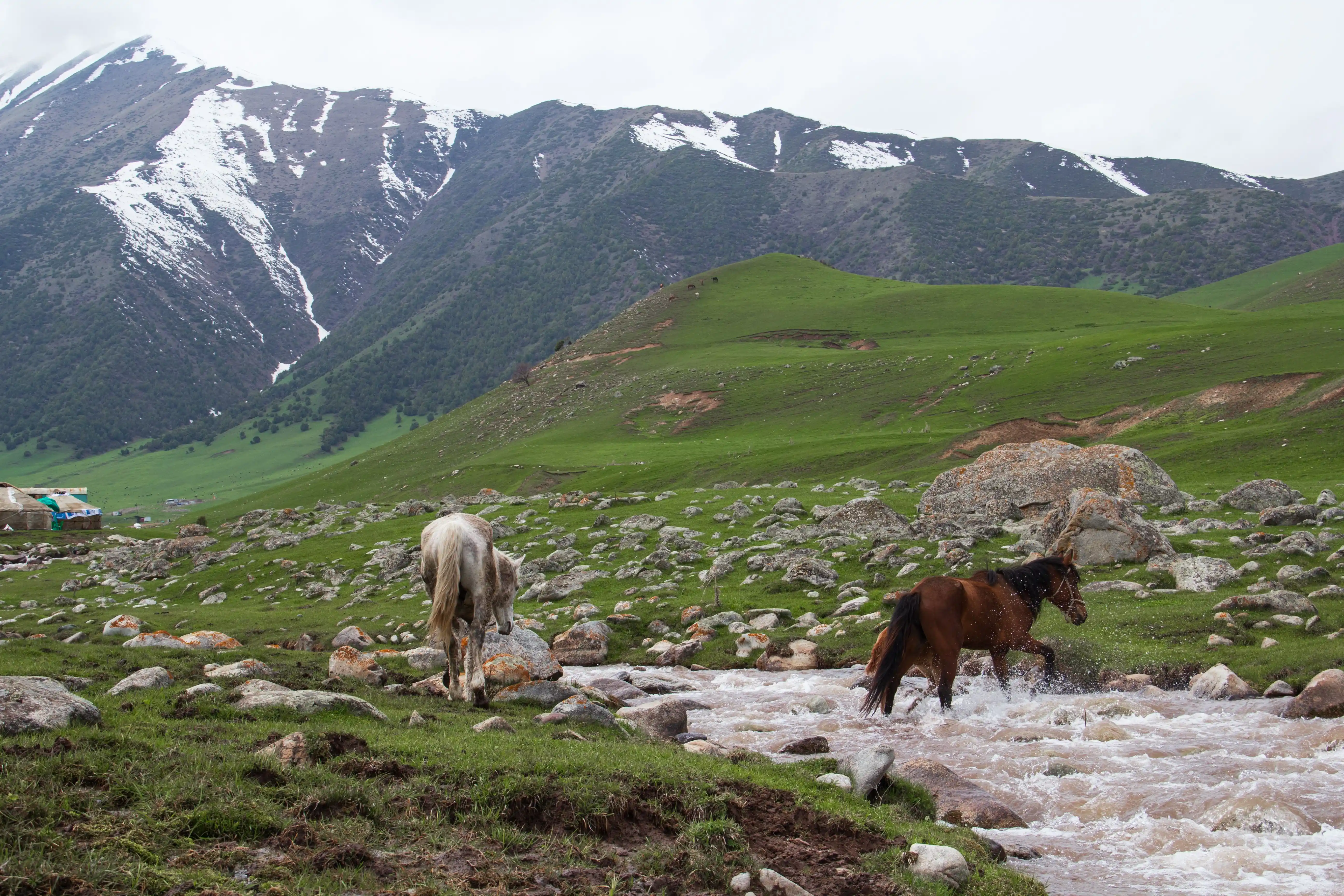 Kyrgyzstan Escape