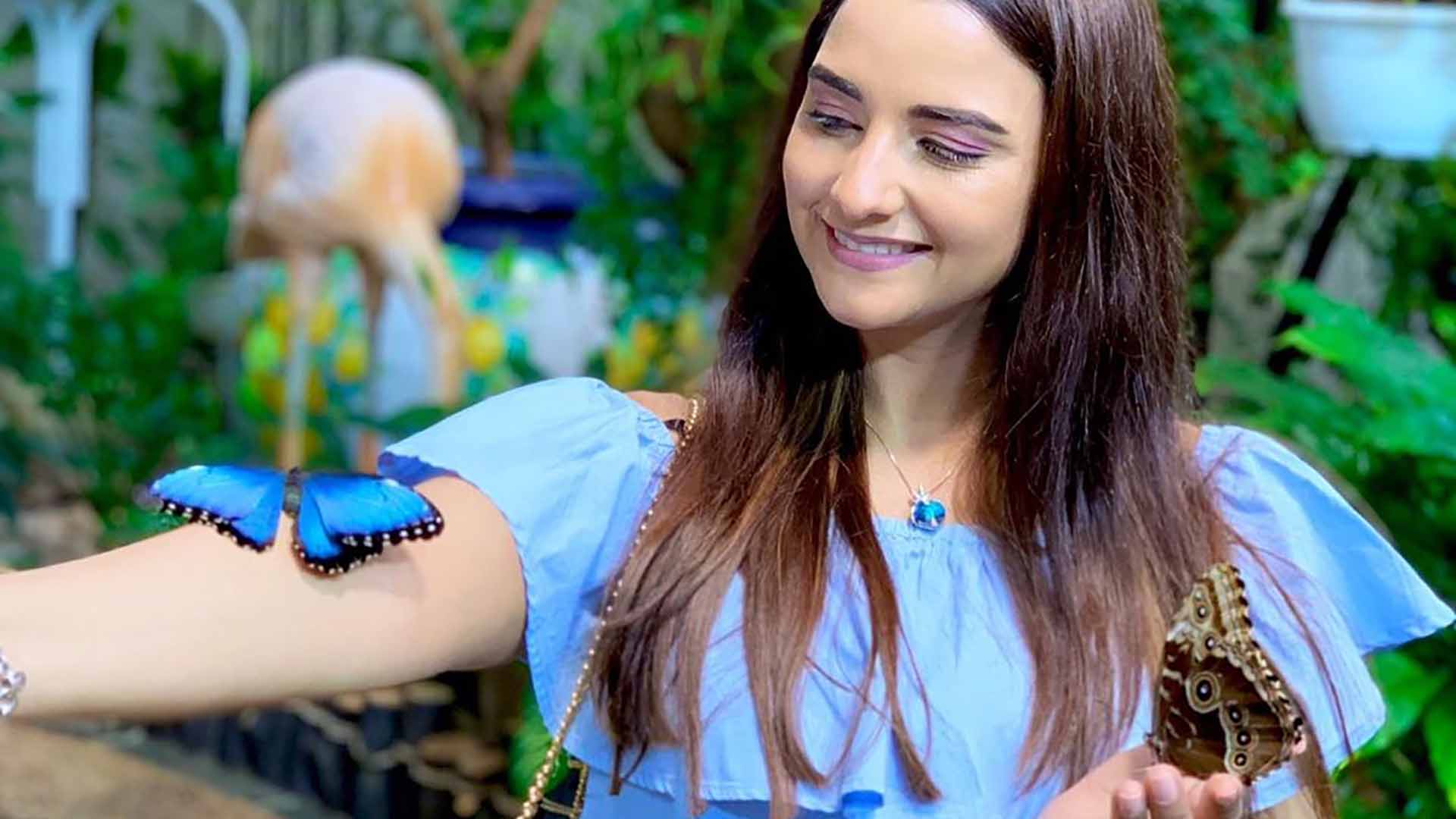 Dubai Butterfly Garden